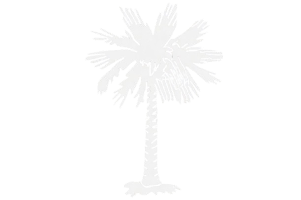 Palmetto